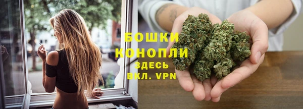 apvp Дегтярск