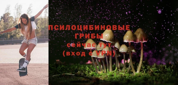 ECSTASY Снежинск