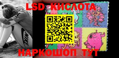 jwh Камышлов