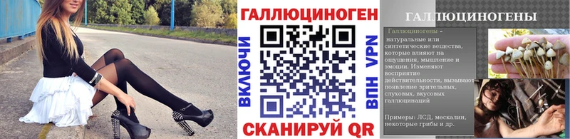Галлюциногенные грибы Psilocybe  Сосновоборск 