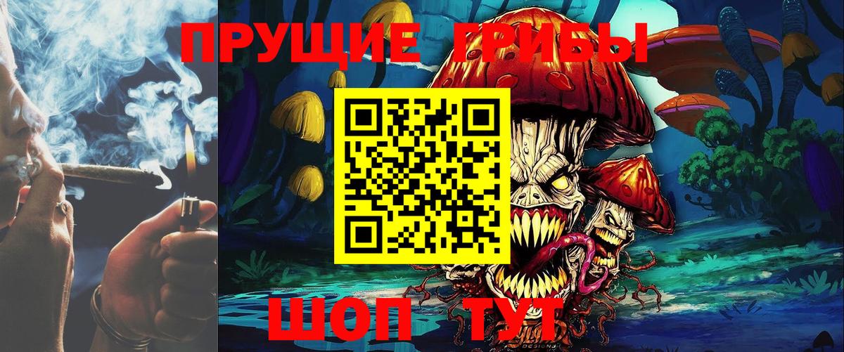 Псилоцибиновые грибы прущие грибы  Вход с VPN  Сосновоборск 