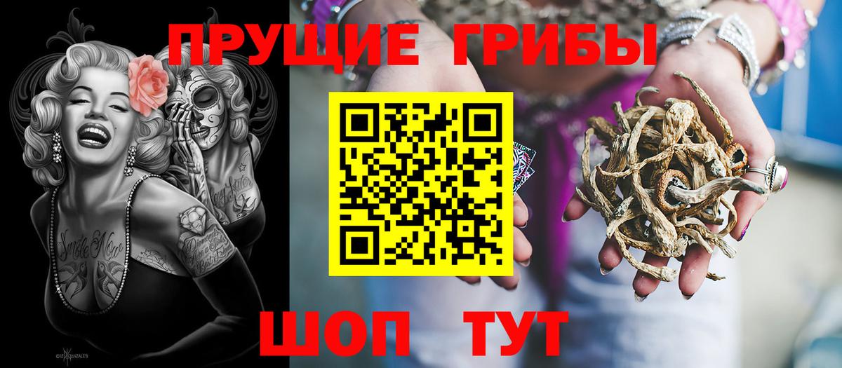 Галлюциногенные грибы Psilocybine cubensis  Сосновоборск 